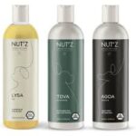 les essentiels pack shampoing chien toilettage soin poils pellage